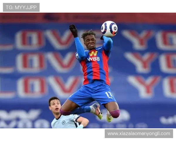 水晶宫队主教练战术策略深度剖析，提升球队整体表现的关键因素揭秘