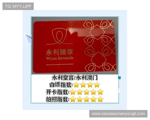 永利皇宫官网注册登录流程优化建议，提升用户体验的实用技巧