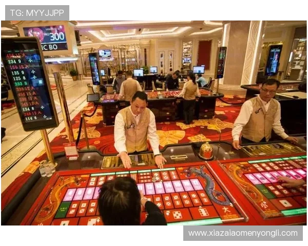 澳门新博亚娱乐有限公司注册流程与新手指南帮助新玩家快速上手